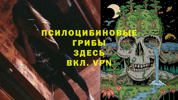 МДПВ Медвежьегорск