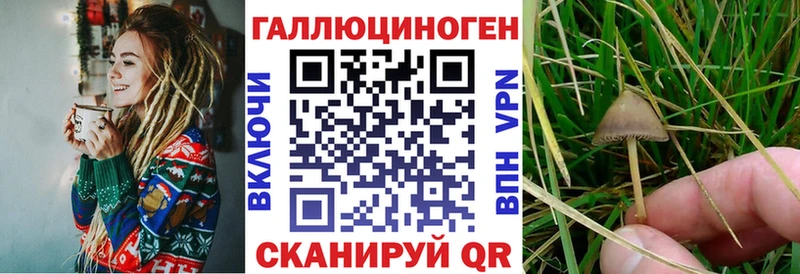 Галлюциногенные грибы Psilocybine cubensis Находка