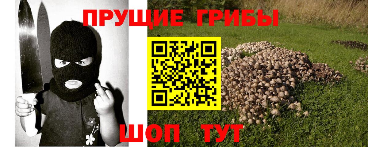 Находка  Галлюциногенные грибы MAGIC MUSHROOMS  Галлюциногенные грибы Cubensis  Вход с VPN 